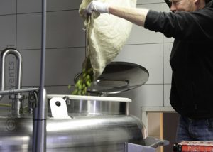 De opbrengst van de hopoogst 2015 verdwijnt in de ketels bij Brouwerij De Molen