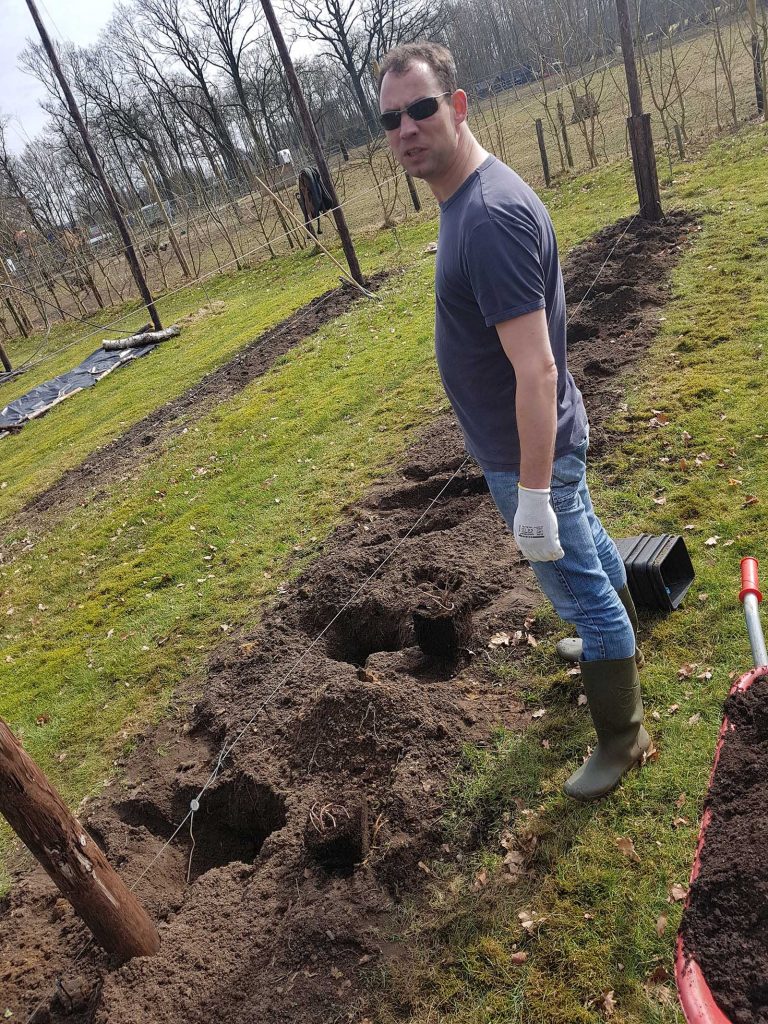 Nieuwe hopplanten in Hopveld De Molen met vrijwilliger 1600