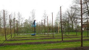 Draden ophangen op het hopveld