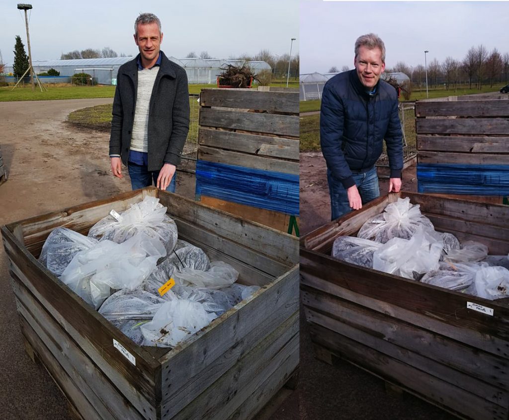 leveren nieuwe hopplanten Maallust