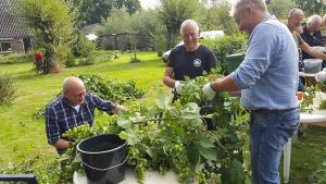 Vrijwilliger Joop (2e van rechts) plukt al voor het 7e jaar mee.