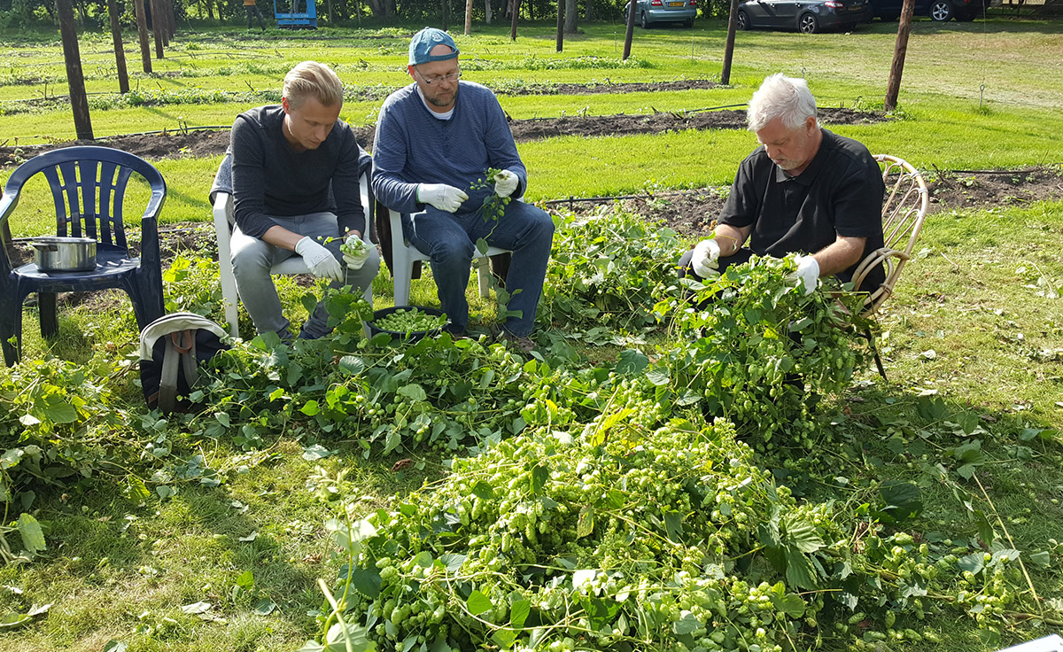 Hopplukkers uit Houten en uit Hattem